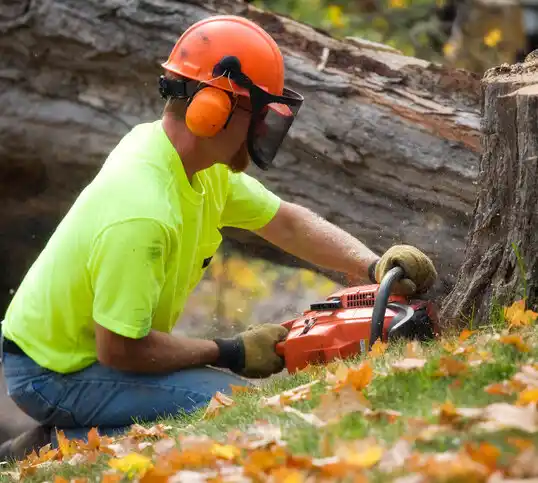 tree services Mankato